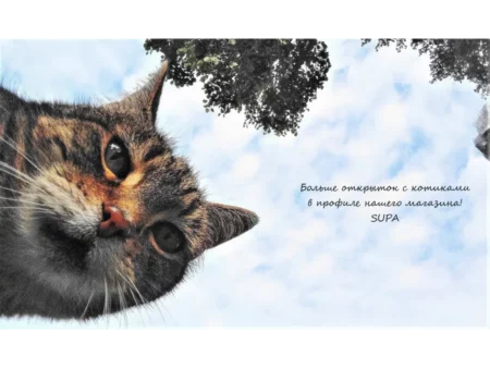 Открытка сувенир "Санкт-Петербург" 5 штук - изображение 14
