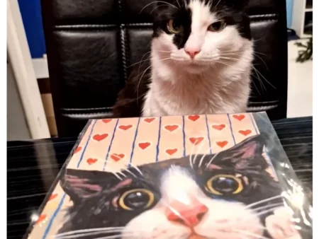 Открытка с котиком "Любовные письма котика" - изображение 4