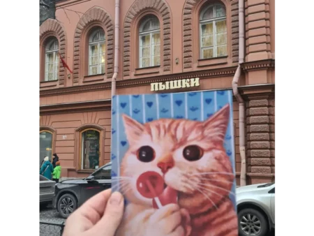 Открытка котики "Леденец и котик" - изображение 6